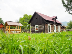 Wild-Traditional Bucovina Câmpulung Moldovenesc